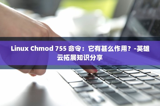 Linux Chmod 755 命令：它有甚么作用？-英雄云拓展知识分享