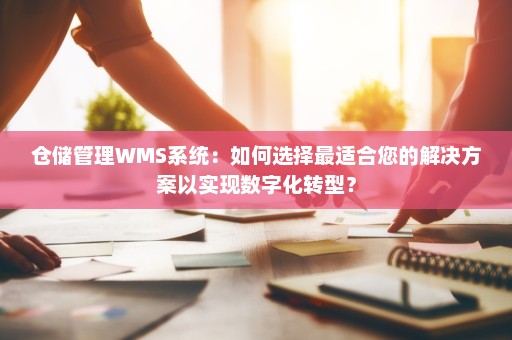 仓储管理WMS系统：如何选择最适合您的解决方案以实现数字化转型？