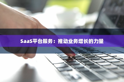 SaaS平台服务：推动业务增长的力量