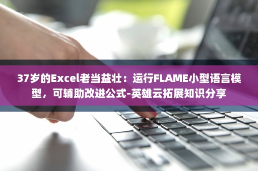 37岁的Excel老当益壮：运行FLAME小型语言模型，可辅助改进公式-英雄云拓展知识分享