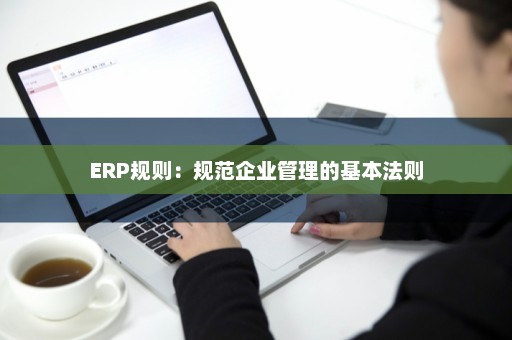 ERP规则：规范企业管理的基本法则