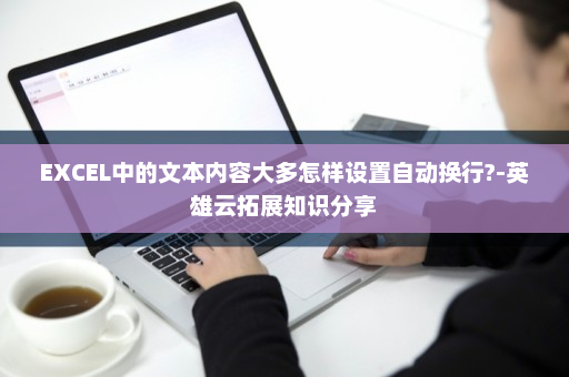 EXCEL中的文本内容大多怎样设置自动换行?-英雄云拓展知识分享