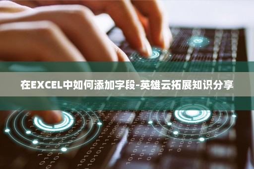 在EXCEL中如何添加字段-英雄云拓展知识分享