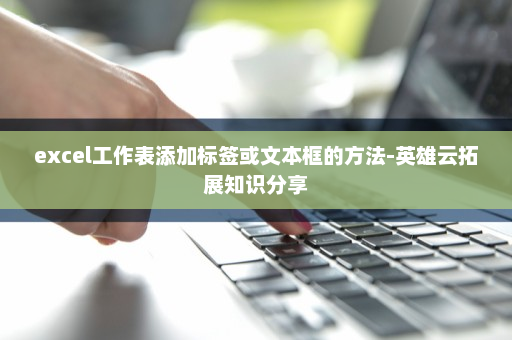 excel工作表添加标签或文本框的方法-英雄云拓展知识分享