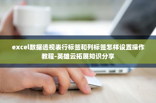 excel数据透视表行标签和列标签怎样设置操作教程-英雄云拓展知识分享