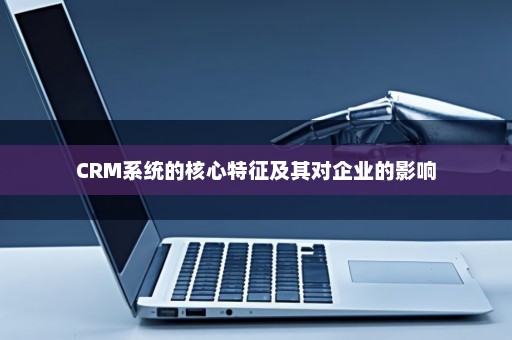 CRM系统的核心特征及其对企业的影响