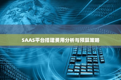 SAAS平台搭建费用分析与预算策略