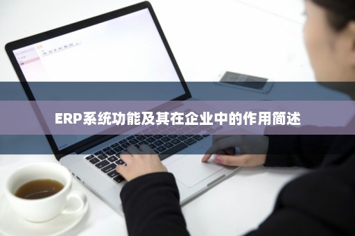 ERP系统功能及其在企业中的作用简述
