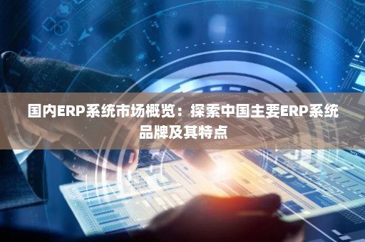 国内ERP系统市场概览：探索中国主要ERP系统品牌及其特点