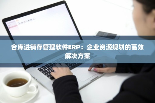 合库进销存管理软件ERP：企业资源规划的高效解决方案