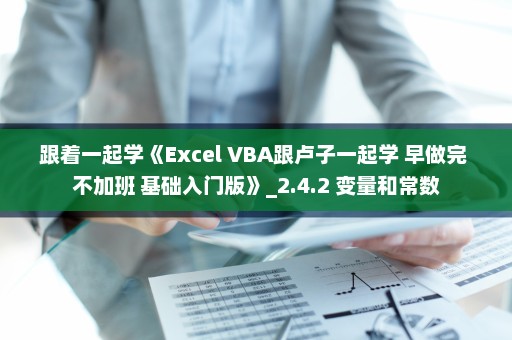 跟着一起学《Excel VBA跟卢子一起学 早做完 不加班 基础入门版》_2.4.2 变量和常数