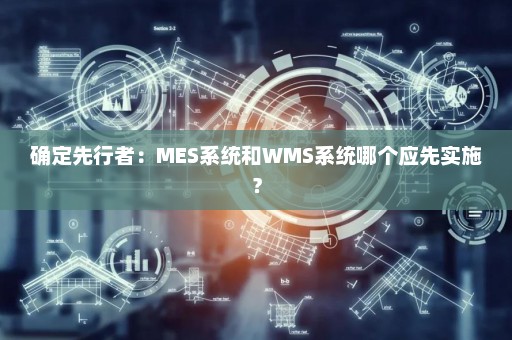 确定先行者：MES系统和WMS系统哪个应先实施？